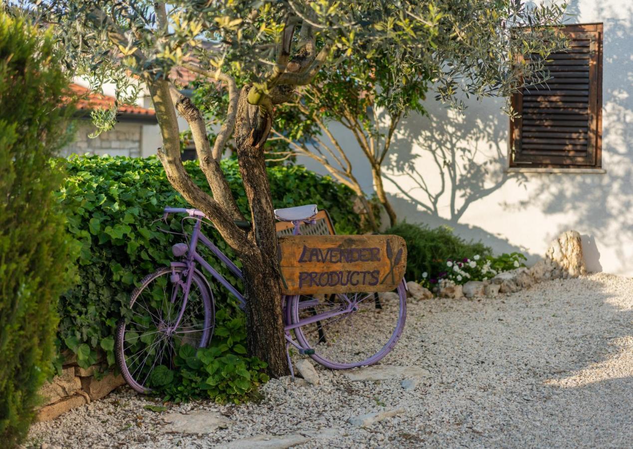 Lavanda Apartments & Room Sveti Lovreč Pazenatički Exterior foto